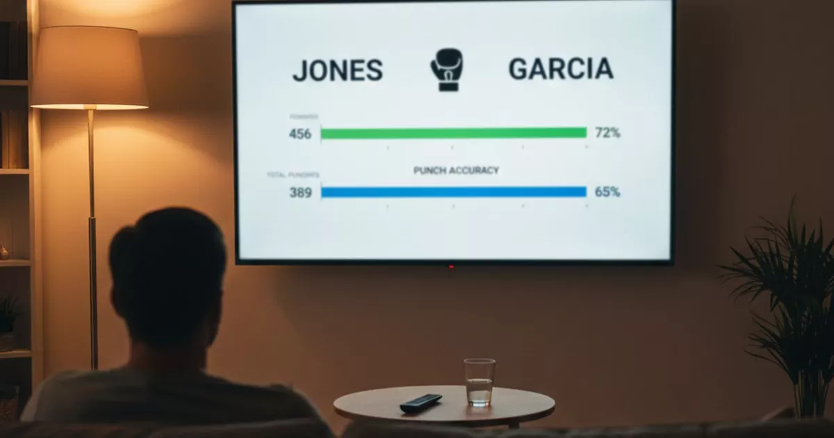 Pantalla mostrando estadísticas de golpeo de un combate de boxeo con gráficos simples